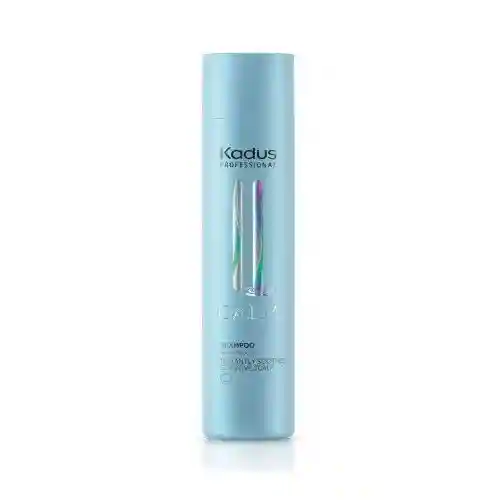 Kadus Professional Šampūnas jautriai galvos odai dažytiems plaukams C.A.L.M Shampoo With Marula Oil 250ml